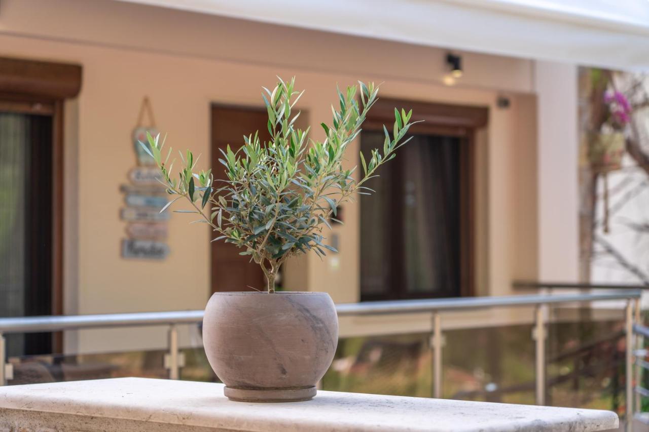 Appartement Νεφέλη-Σπίτι Ολόκληρο Για Αξέχαστες Διακοπές Στην Σιβηρη à Siviri Extérieur photo